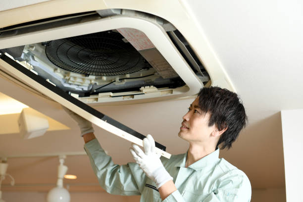 Best Home Air Vent Cleaning  in Adel, IA