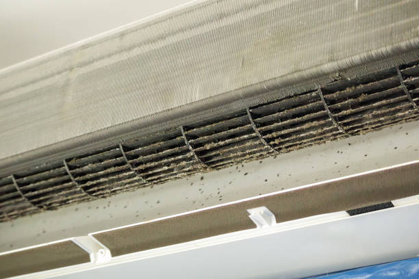 Best Local Air Duct Cleaning Services  in Adel, IA